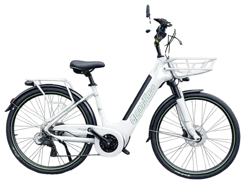 E-Bike City 28 TONGSHENG 80Nm con Cestino Integrato
