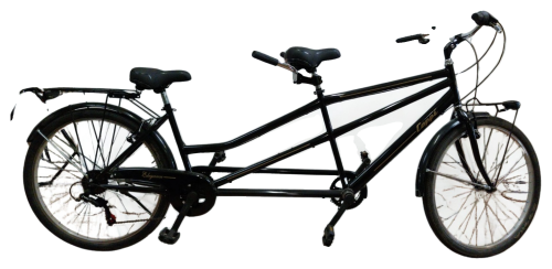 Tandem Coppi Elegance Usato | Bici Tandem 2 Posti