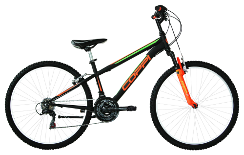 MTB da ragazzo del 24 Ammortizzata