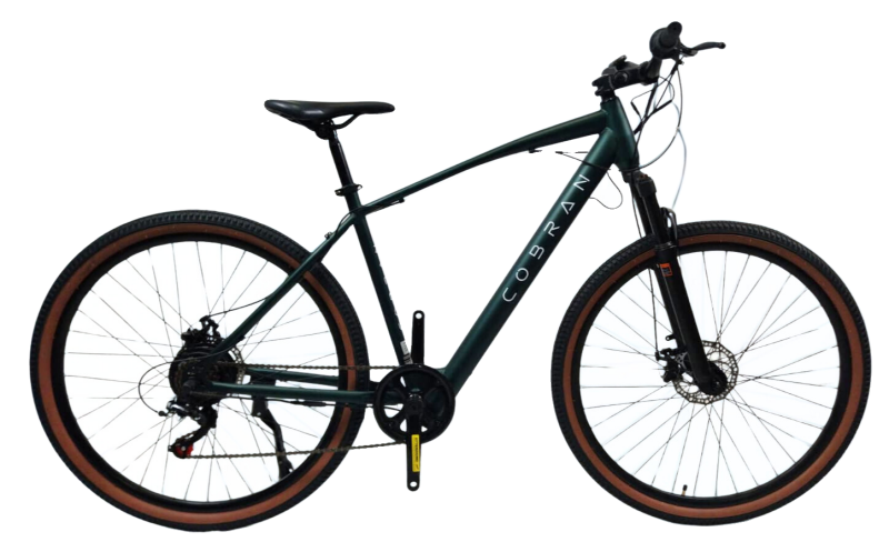 Bicicletta con pedalata assistita elettrica uomo  batteria E-tube nuda