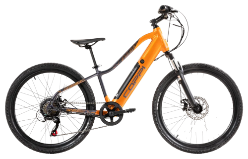 MTB Elettrica 24 goblin