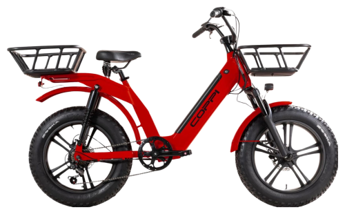 Fat Bike 48 volt Lipari Cargo