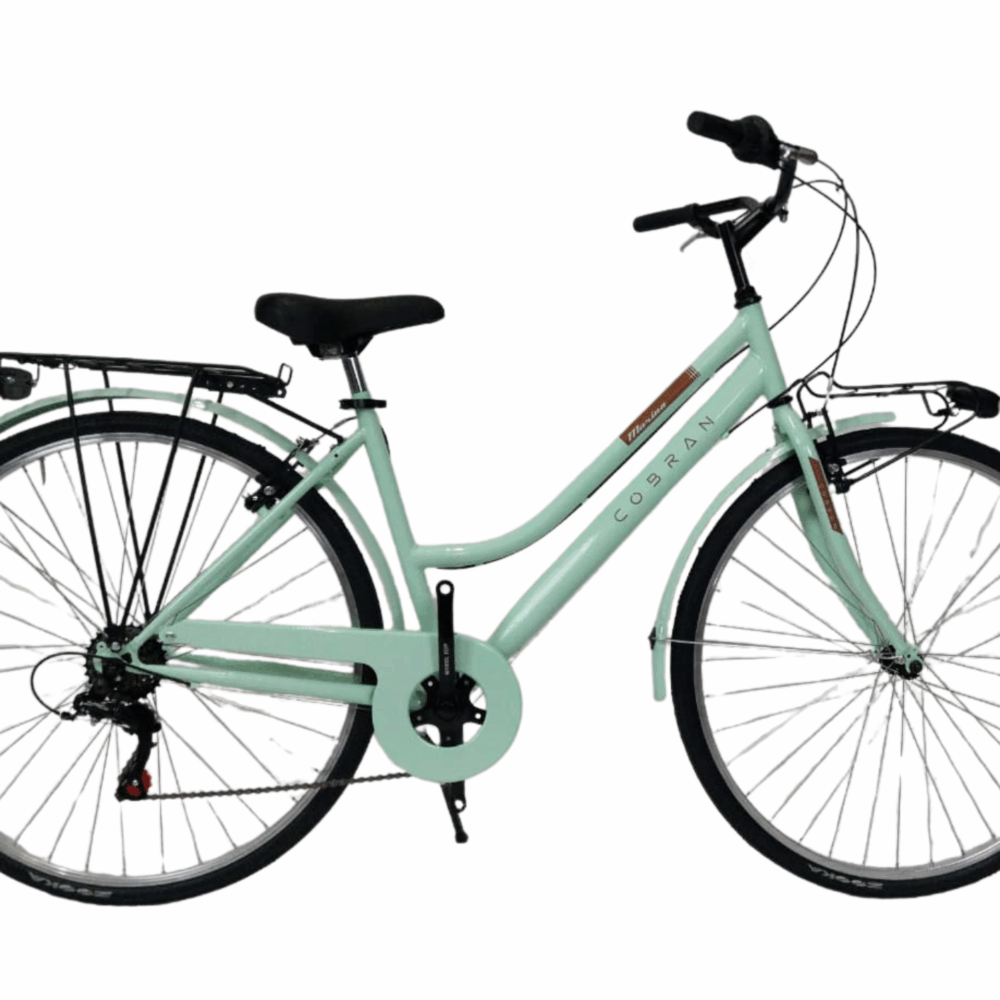 Bici City Bike con Ruota 28 pollici da Donna, cambio  6 v. modello Marina