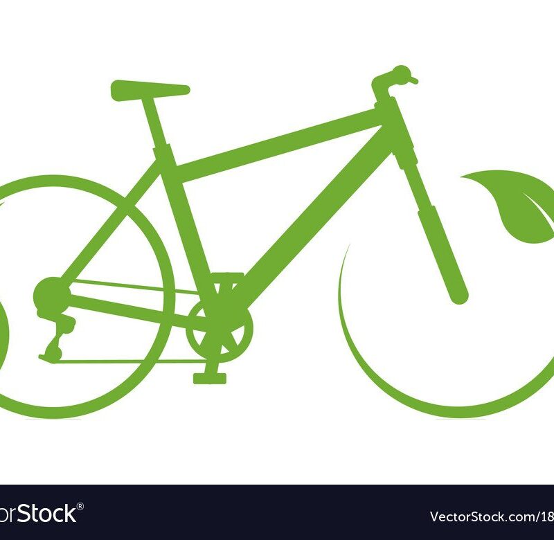 bici ed ambiente