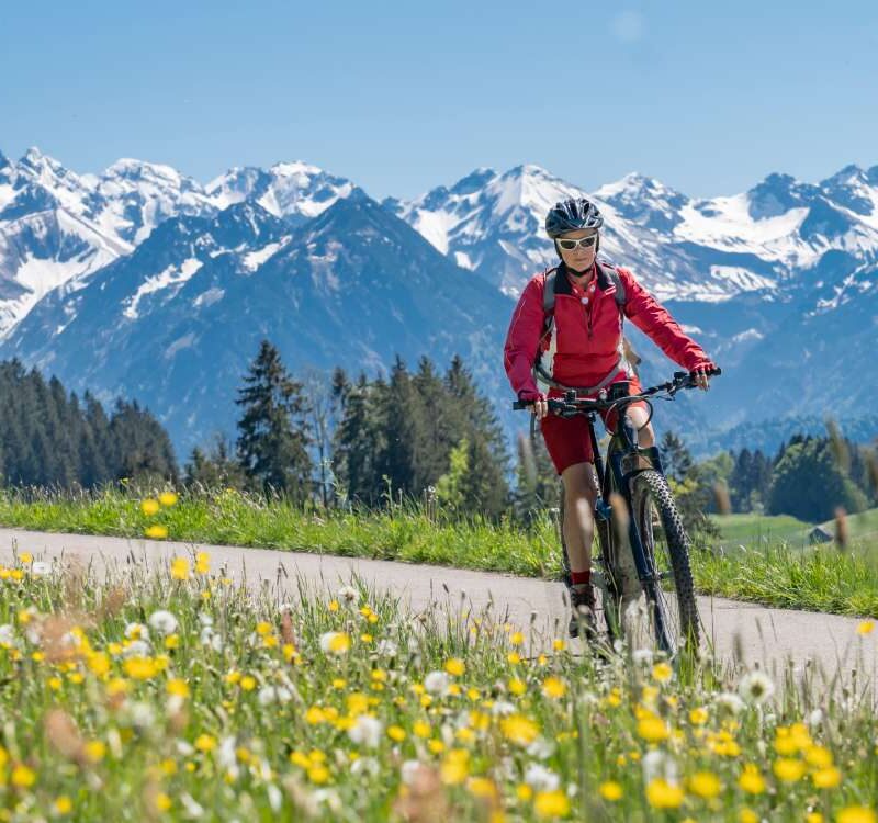 meglio bici muscolare o ebike