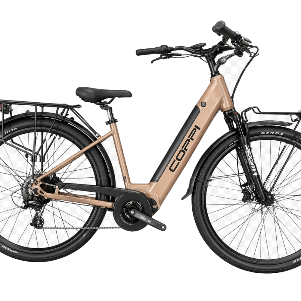 E-bike motore centrale bafang