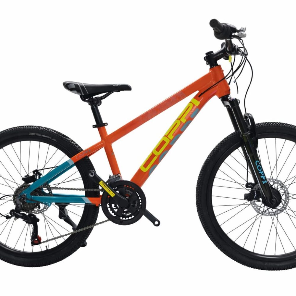 MTB del 24 in alluminio con freno a disco