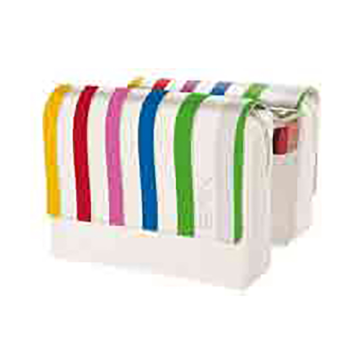 Borse BRN Stripe Arcobaleno
