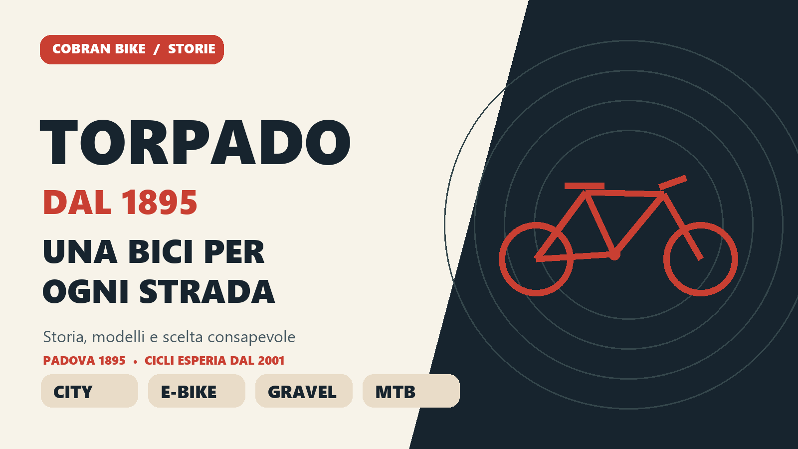 Torpado Bike: guida visiva a city bike, e-bike, gravel e mountain bike